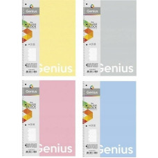Teka Kołozeszyt A4/80K kratka Genius (4szt) ASTRA
