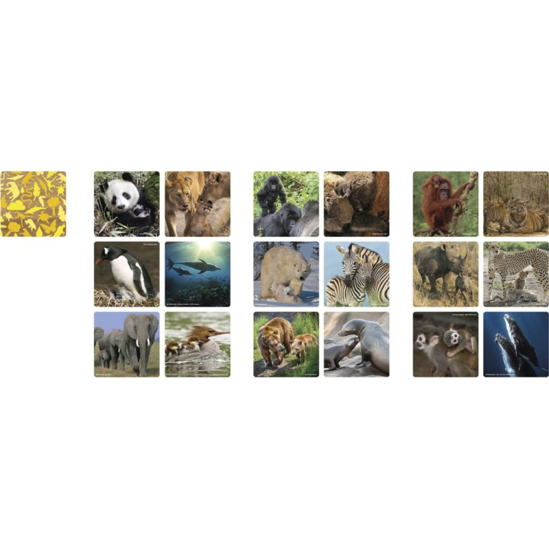 Ebury Publishing Ambassador Memo Animal Families